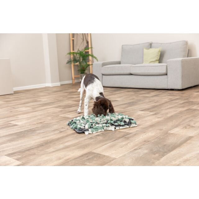 Trixie Dog Activity Snuseteppe 50x34 cm – Level 1