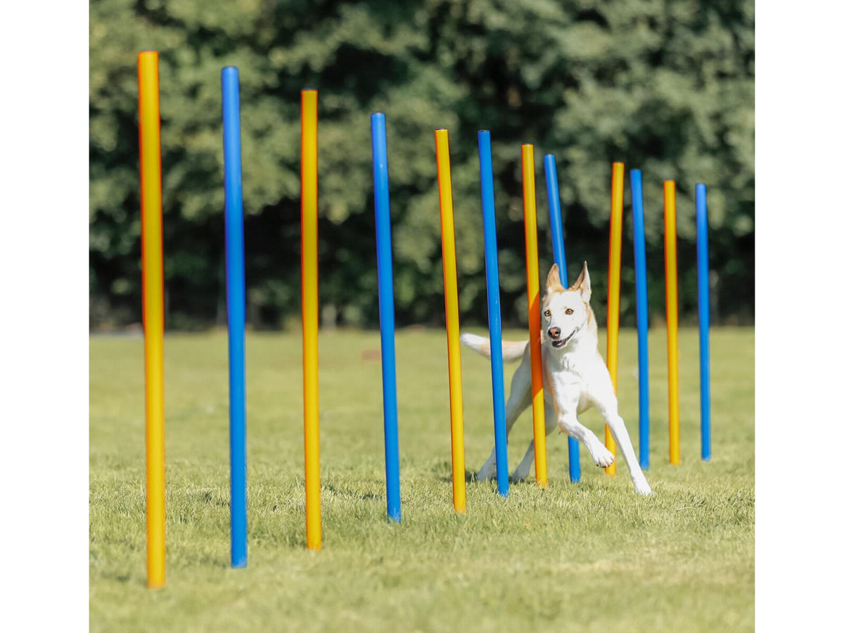 Trixie Fun Agility Slalåm – 12 stenger 115 cm