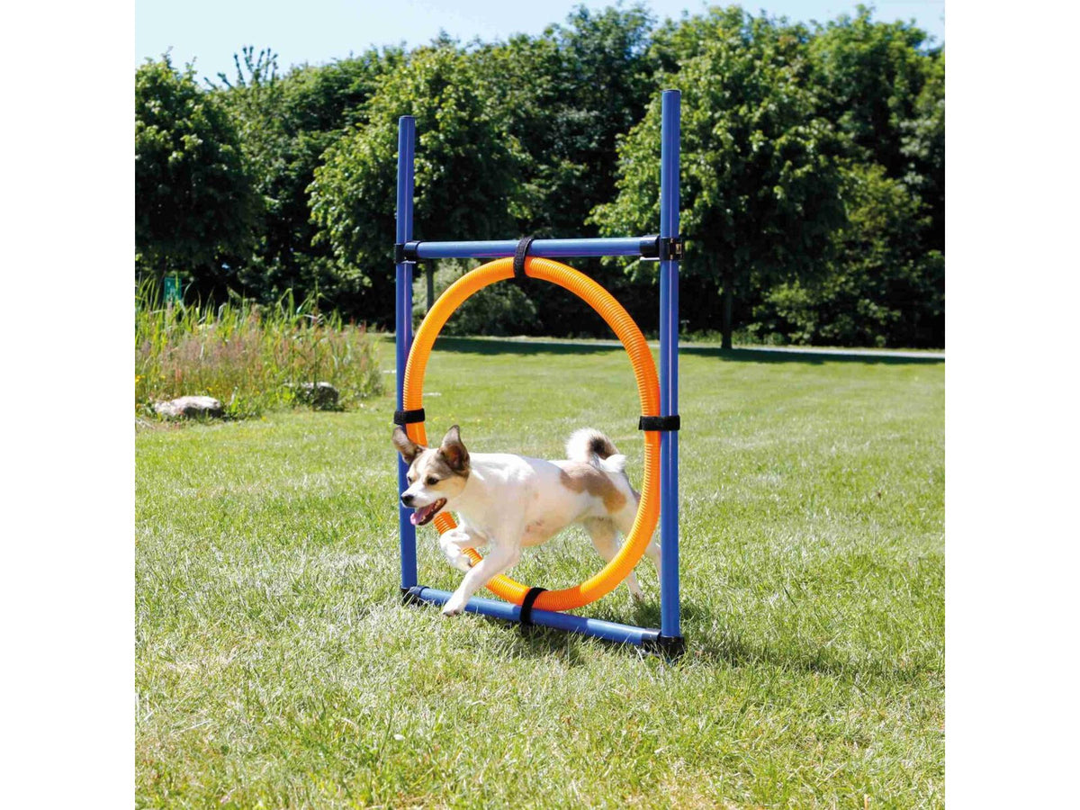 Trixie Fun Agility Ring – Ø65 cm