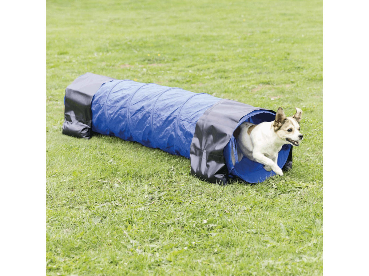 Trixie Fun Agility Mini Tunnel 2 m × Ø40 cm – Blå