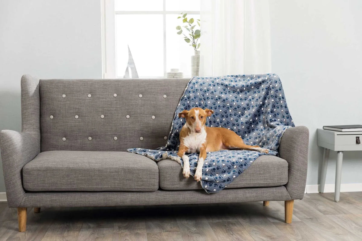 Trixie Tammy Softplysj Teppe Blå med Poter 150 × 100 cm