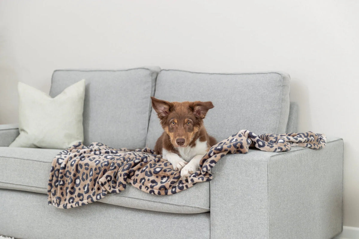 Trixie Leo Teppe Softplysj Leopard Brun