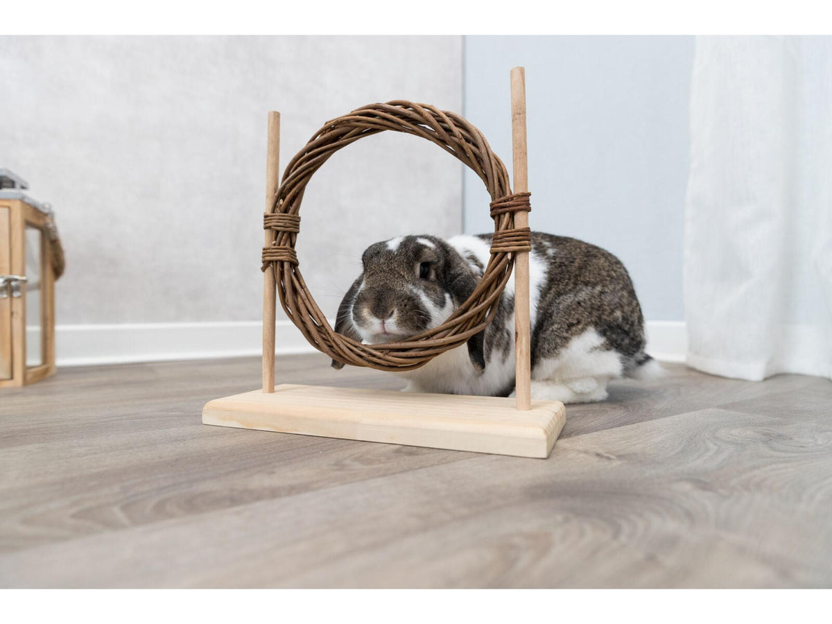 Trixie Agility-sett for smådyr i tre – 28 × 26 × 11 cm