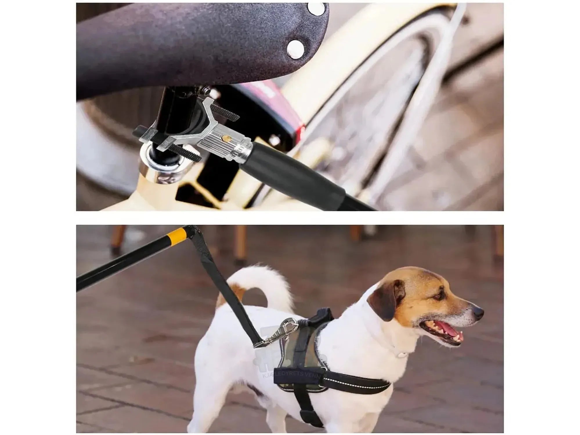 Pawise Hands Free Doggy Bike Exerciser Leash