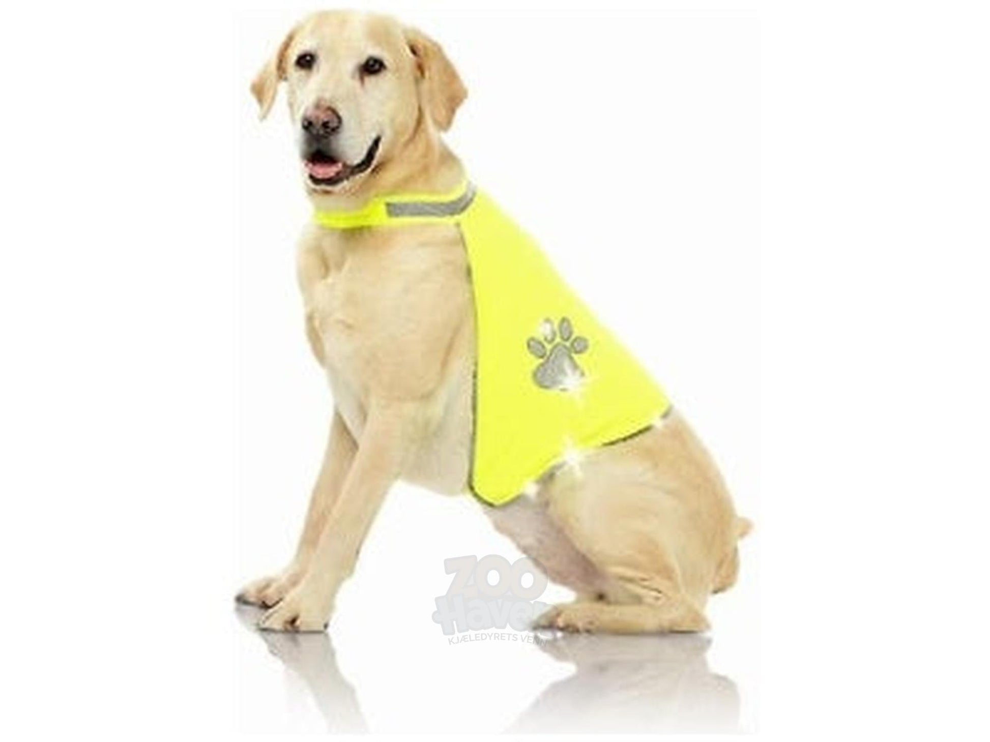 Pawise Refleksvest synlig refleksvest til hund