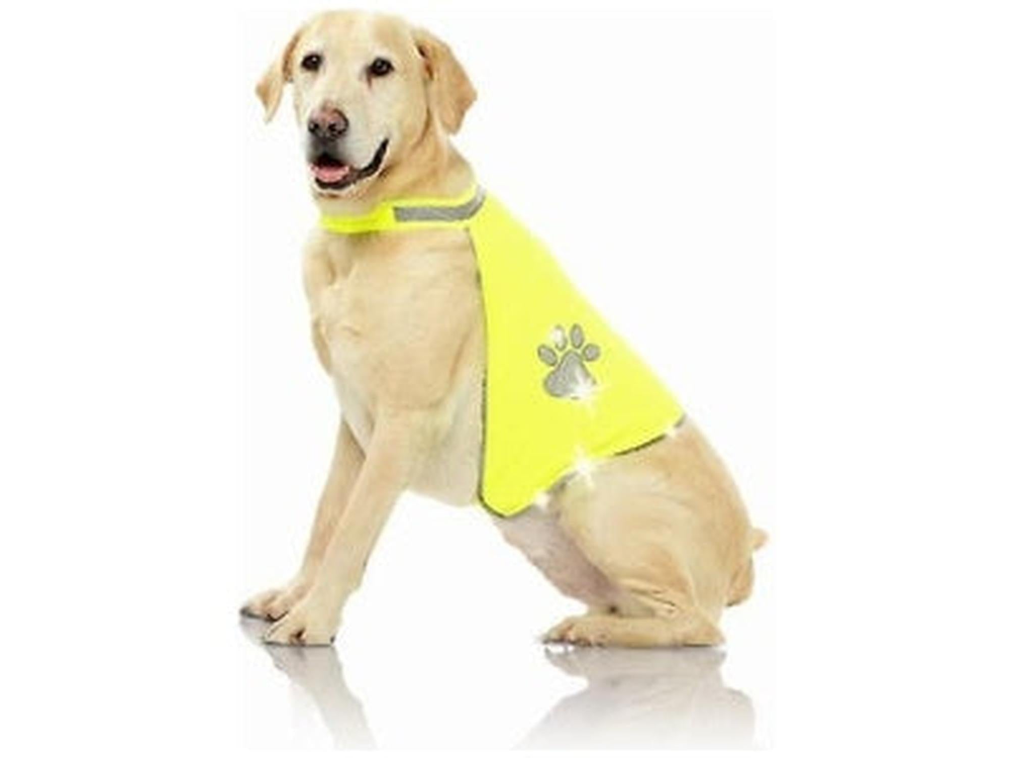 Pawise Refleksvest synlig refleksvest til hund