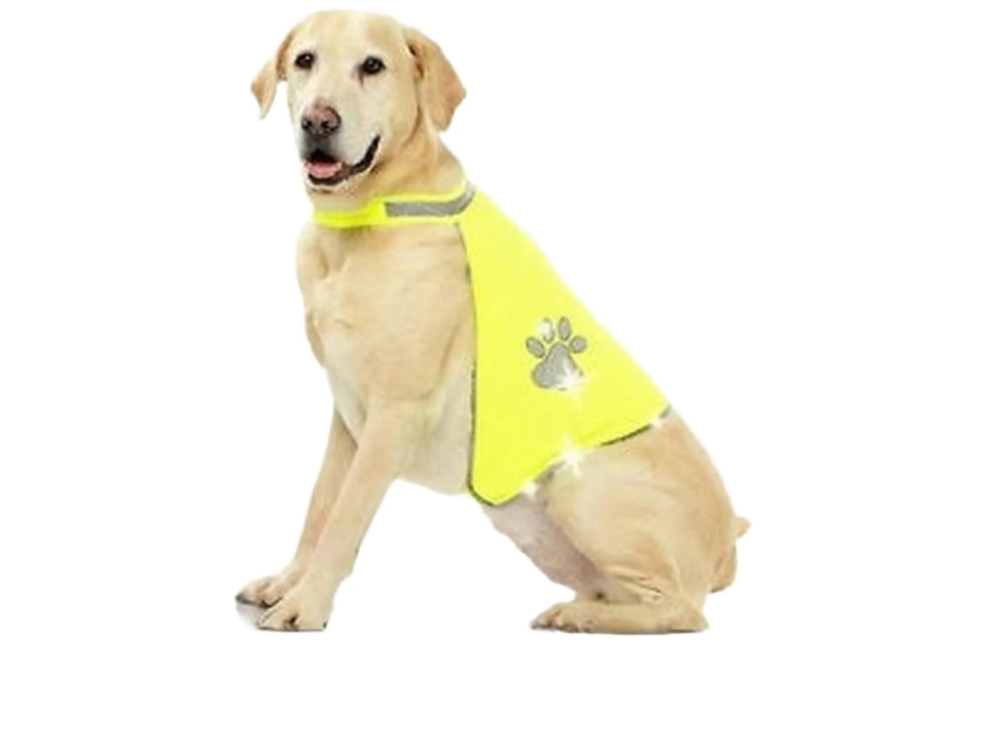 Pawise Refleksvest synlig refleksvest til hund