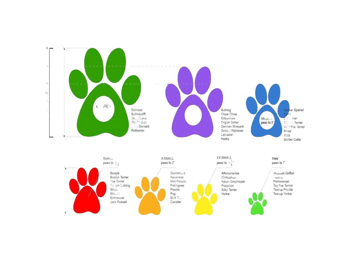 Fargekodet størrelsesguide for Pawz potebeskyttere med poteavtrykk i grønn, lilla, blå, rød, oransje og gul.