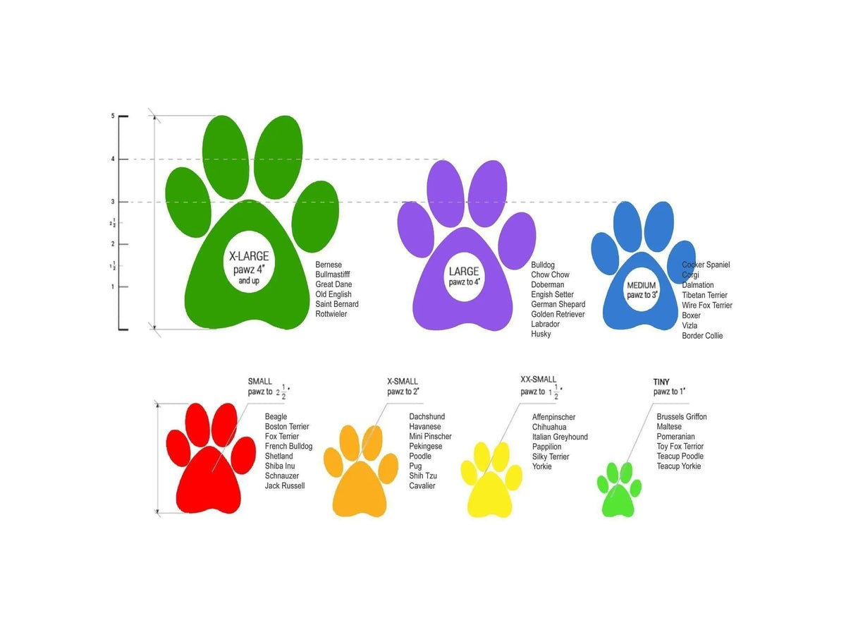 Fargekodet størrelsesguide for Pawz potebeskyttere med poteavtrykk i grønn, lilla, blå, rød, oransje og gul.
