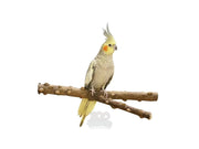 PepperPerch Y Sittepinne 35 cm × 3,2 cm