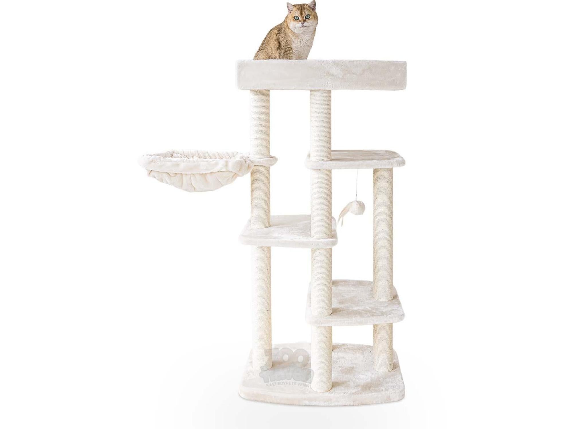 Beige Petrebels Springfield 139 kattetårn med sisalstolper, plattformer og hengekøye med en katt på toppen.