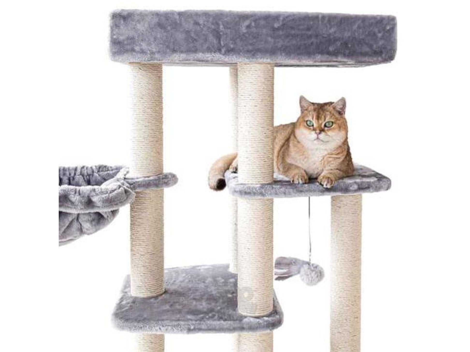 Grått Petrebels Springfield 139 kattetårn med sisalstolper, hengekøye og en katt som hviler på en plattform.