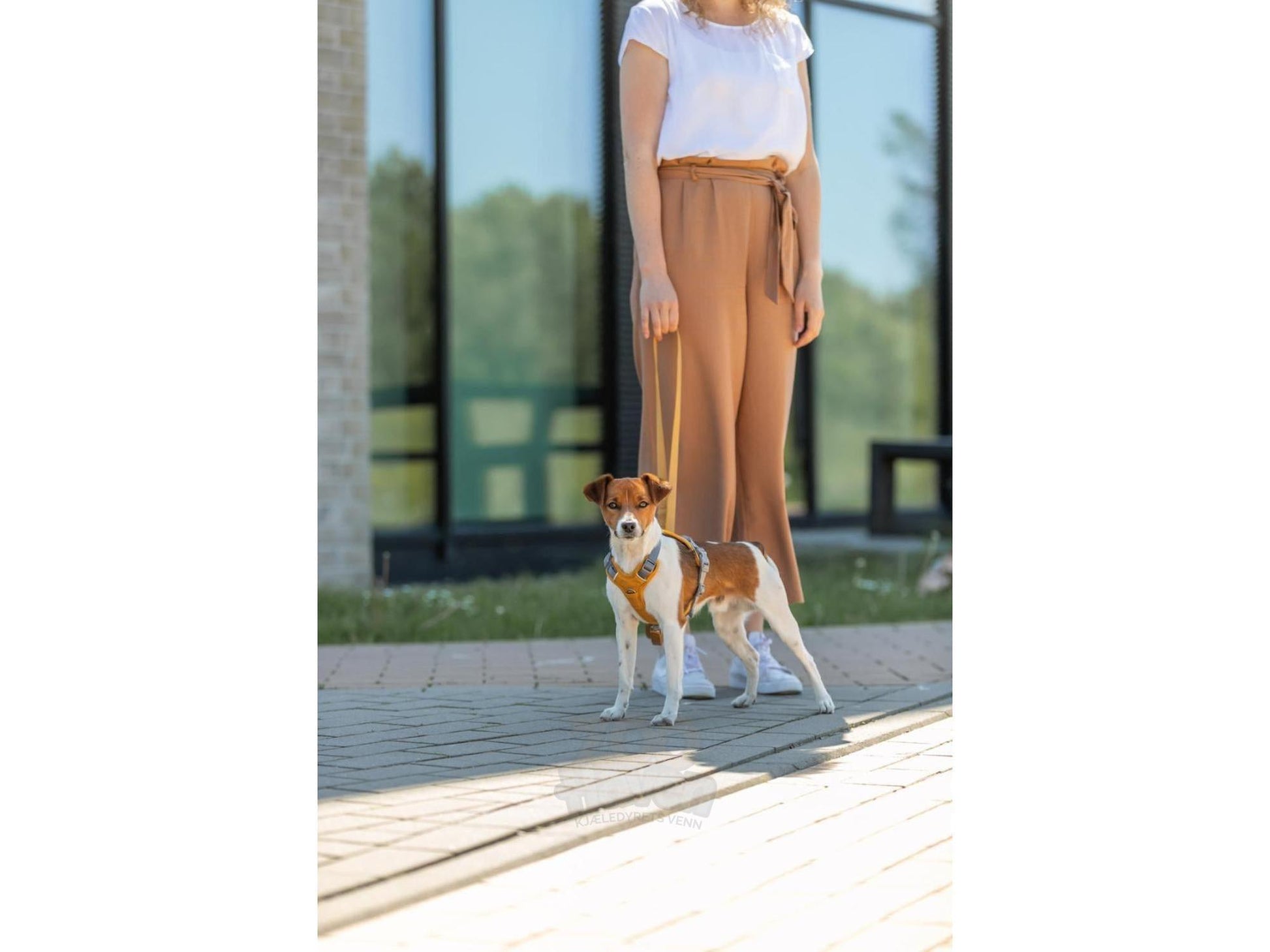 Trixie Premium Active Gul sele – bilde 2