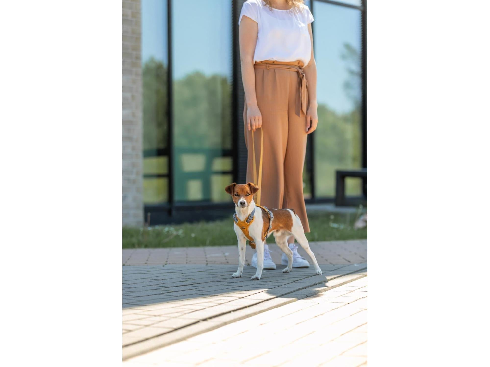 Trixie Premium Active Gul sele – bilde 2