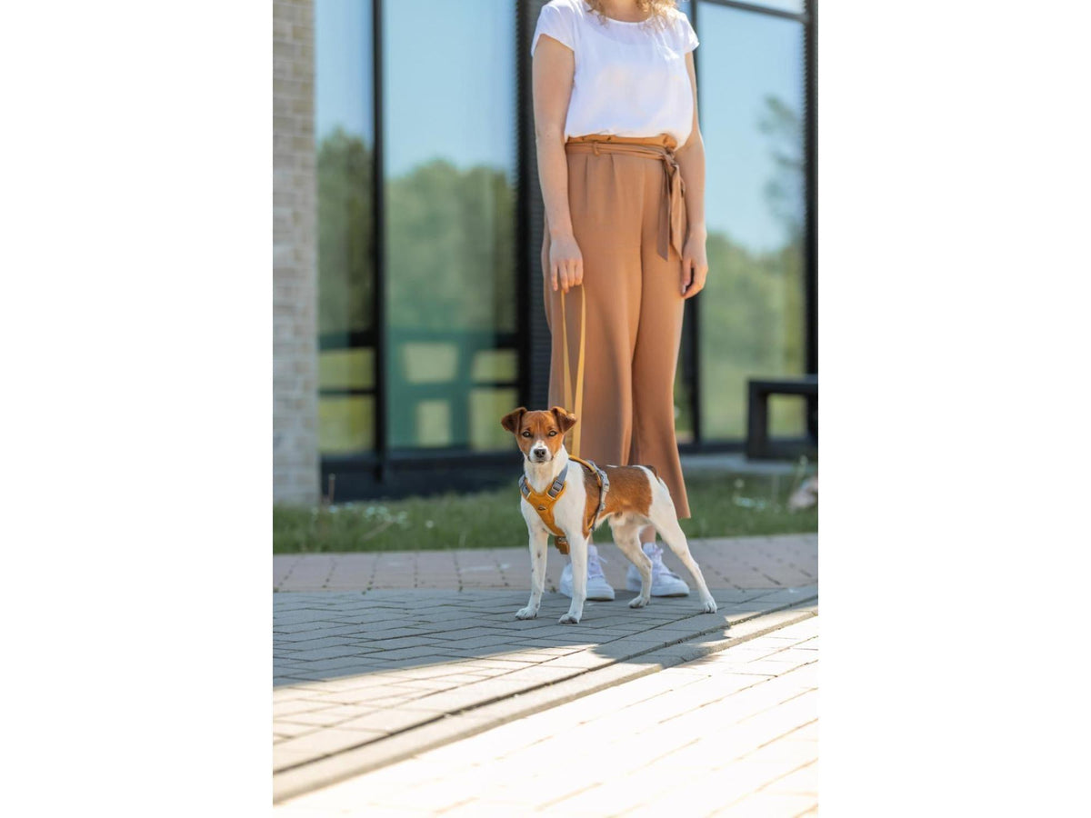 Trixie Premium Active Gul sele – bilde 2