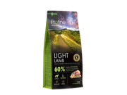 Light