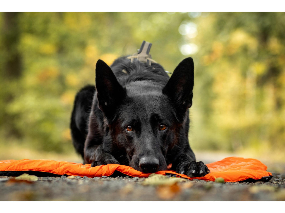Non-stop dogwear Protector bivvy bed liggeunderlag – Oransje