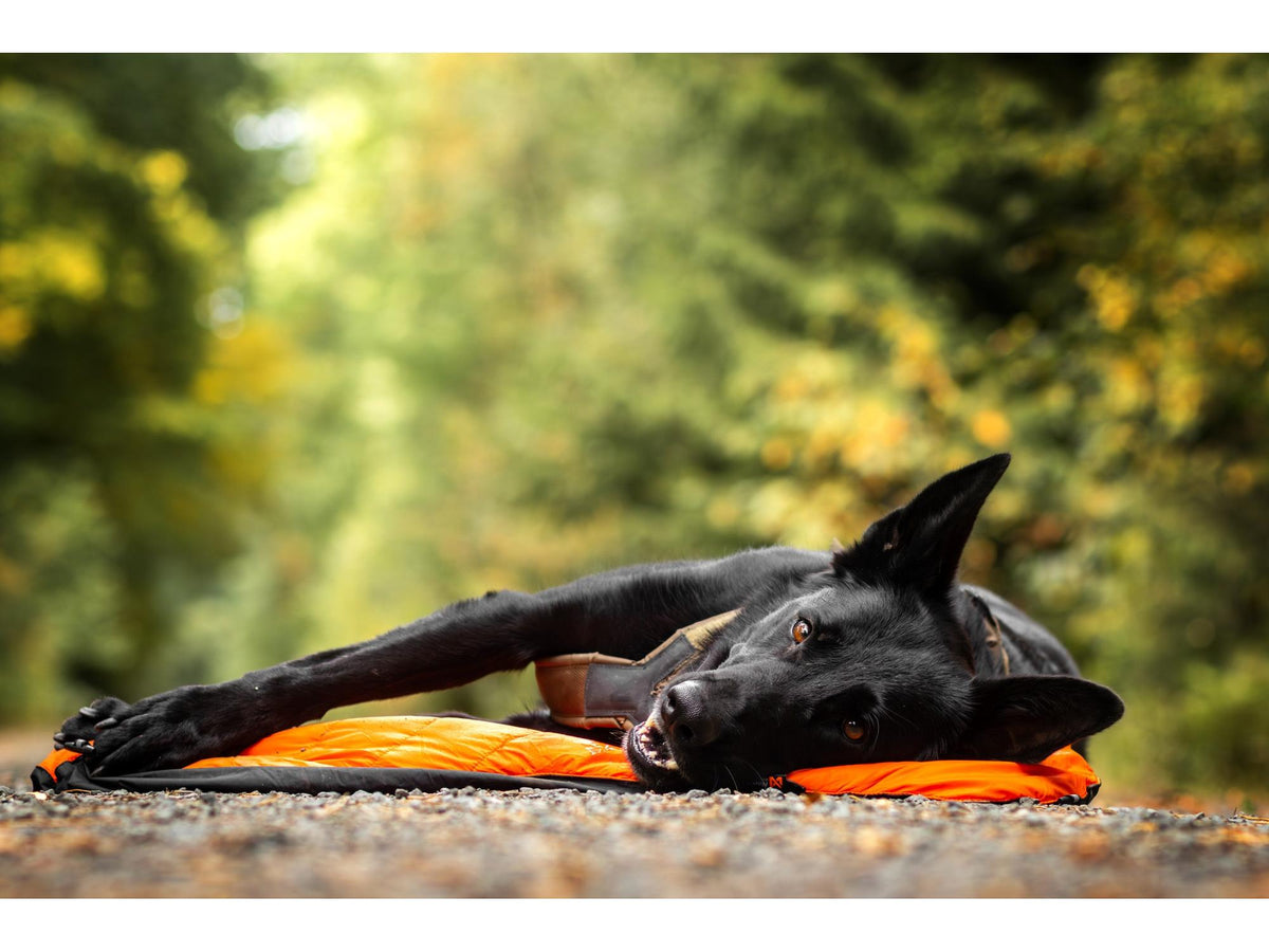 Non-stop dogwear Protector bivvy bed liggeunderlag – Oransje