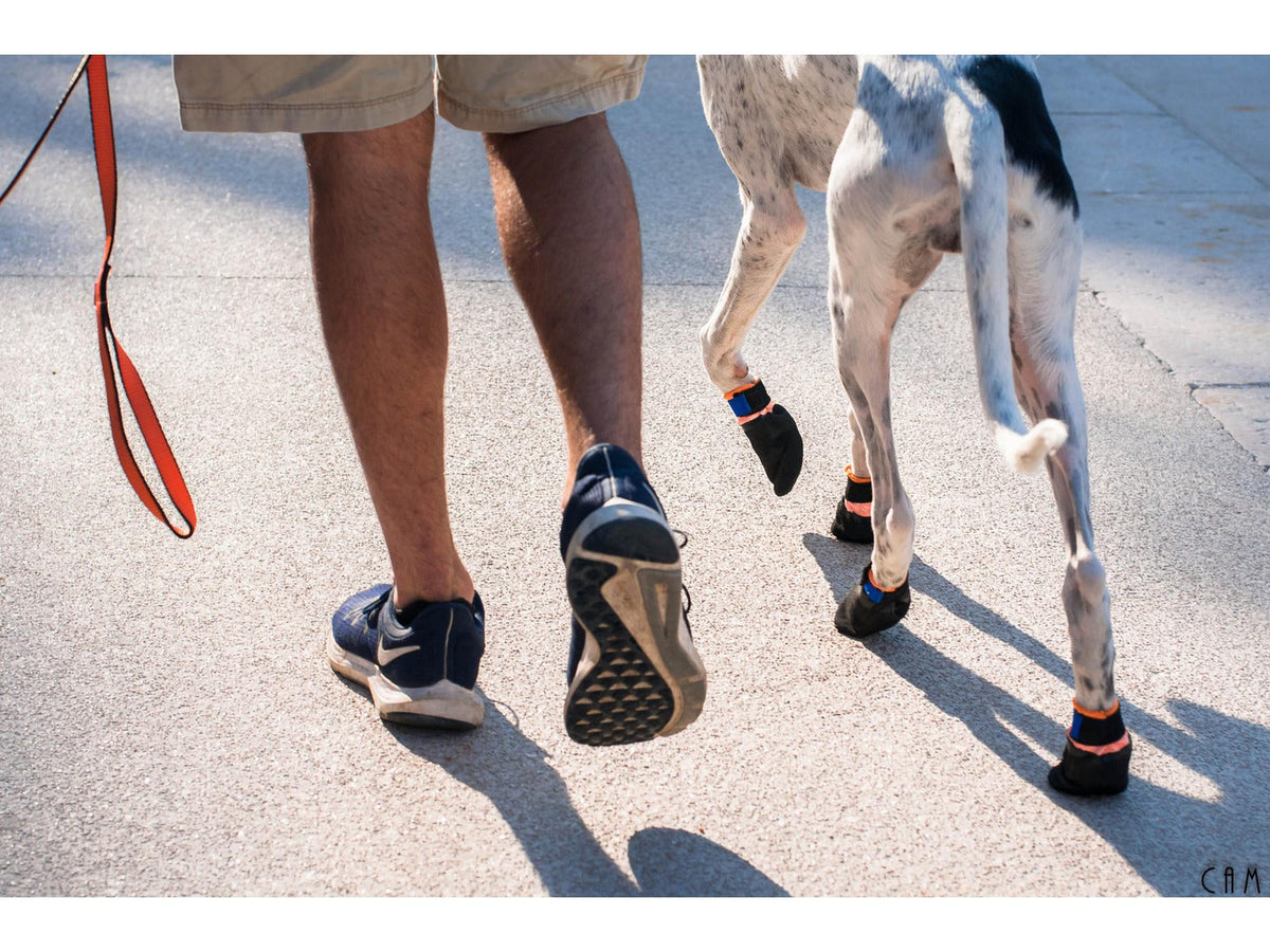 Non-stop dogwear Protector bootie potesokker – Svart/oransje