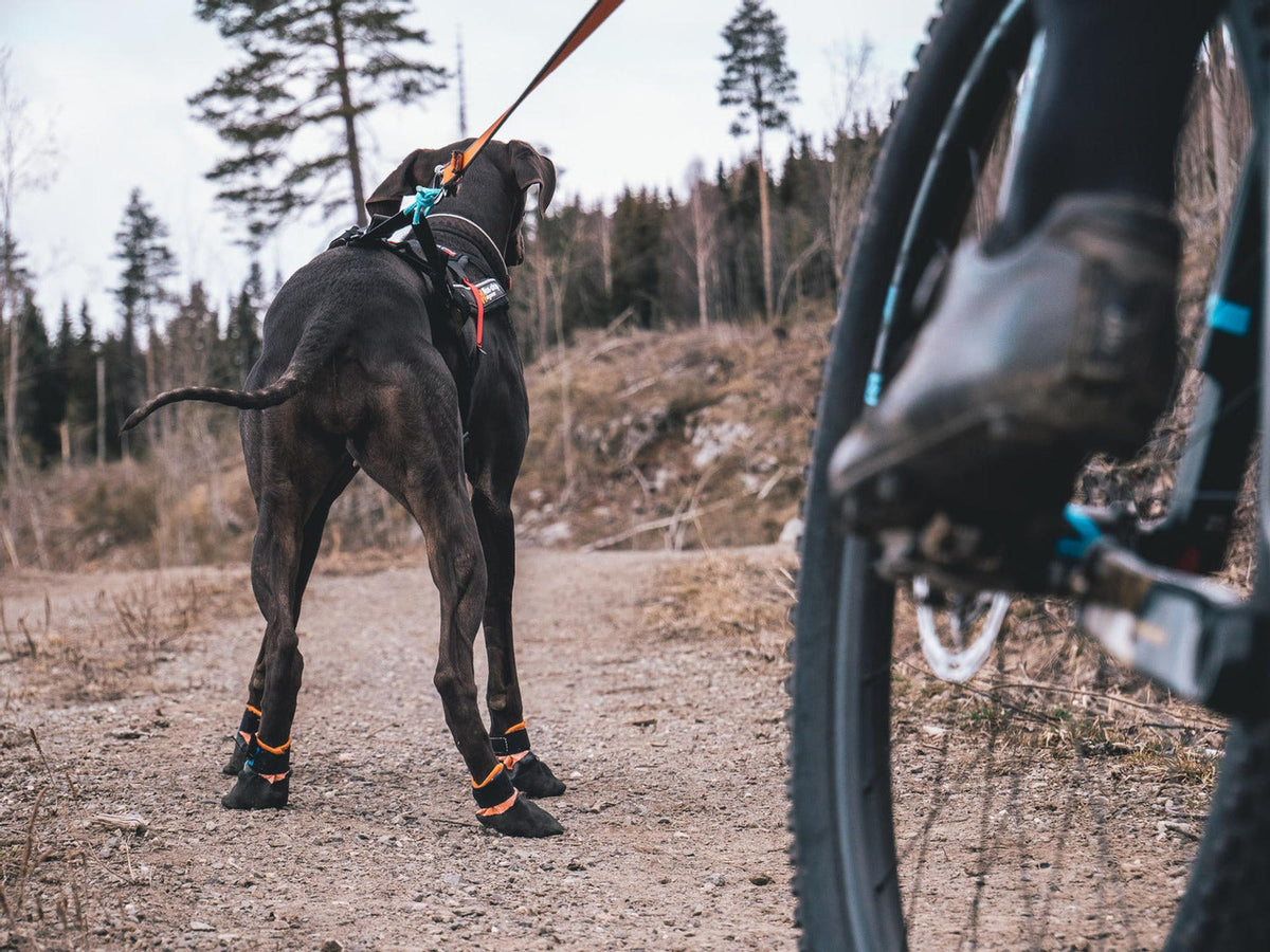 Non-stop dogwear Protector bootie potesokker – Svart/oransje