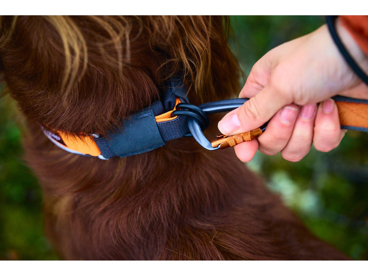 Non-stop dogwear Protector collar sikkerhetshalsbånd – Oransje