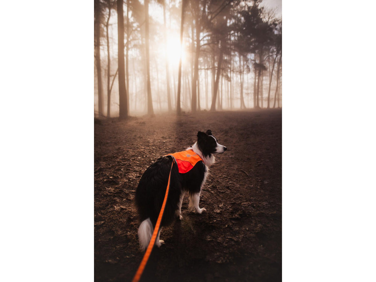 Non-stop dogwear Protector cover markeringsdekken – Oransje