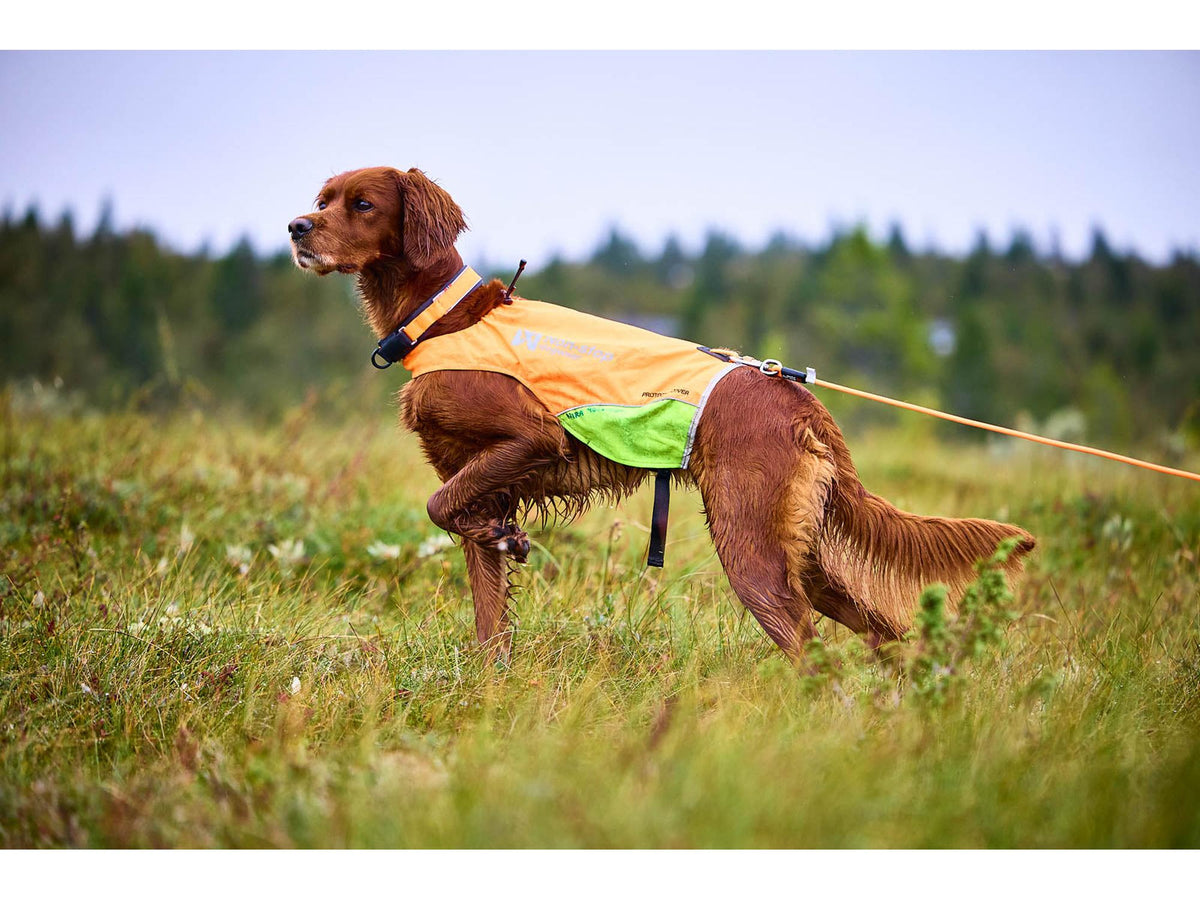 Non-stop dogwear Protector round long line rund langline – Oransje