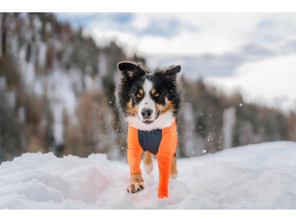 Non-stop dogwear Protector snow heldress tispe – Svart/oransje