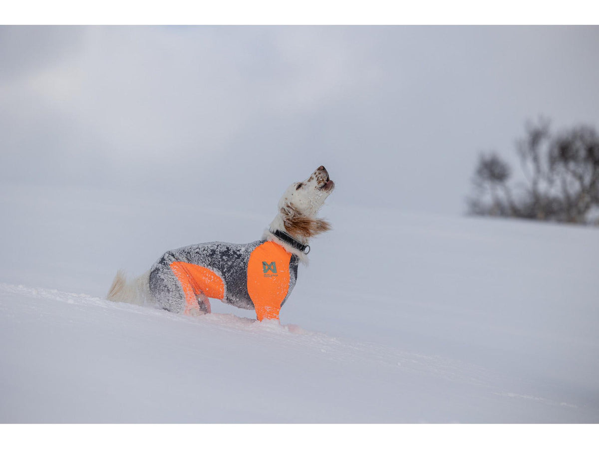 Non-stop dogwear Protector snow heldress hannhund – Svart/oransje
