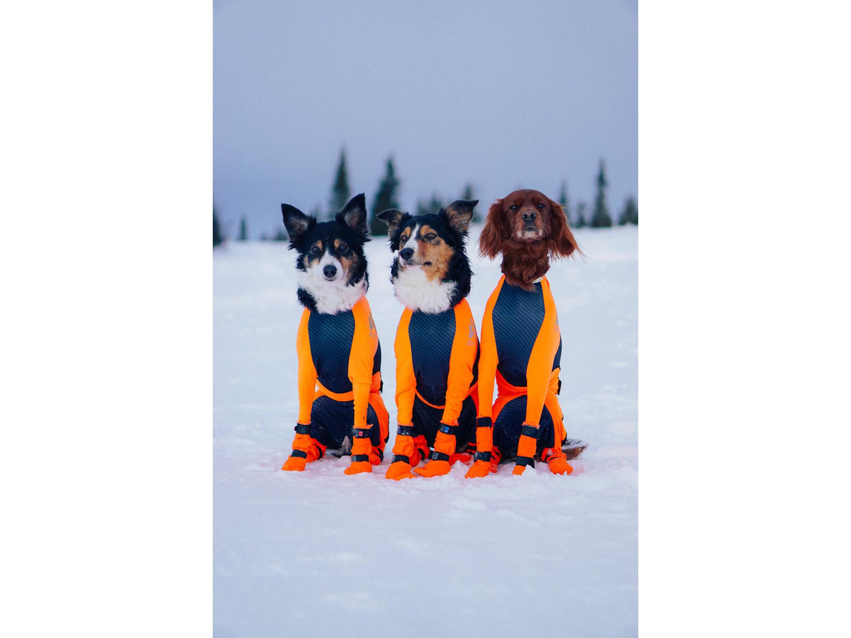 Non-stop dogwear Protector snow heldress hannhund – Svart/oransje