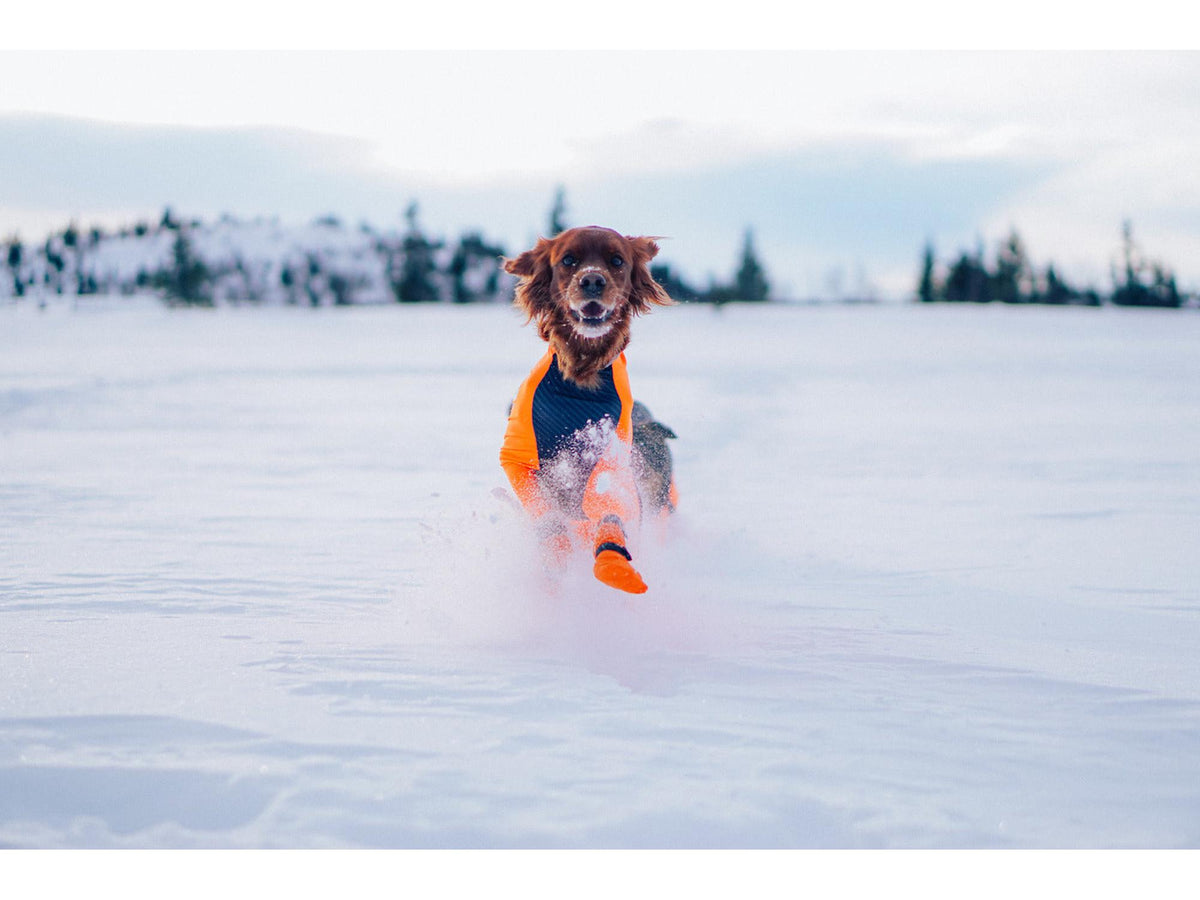 Non-stop dogwear Protector snow heldress tispe – Svart/oransje