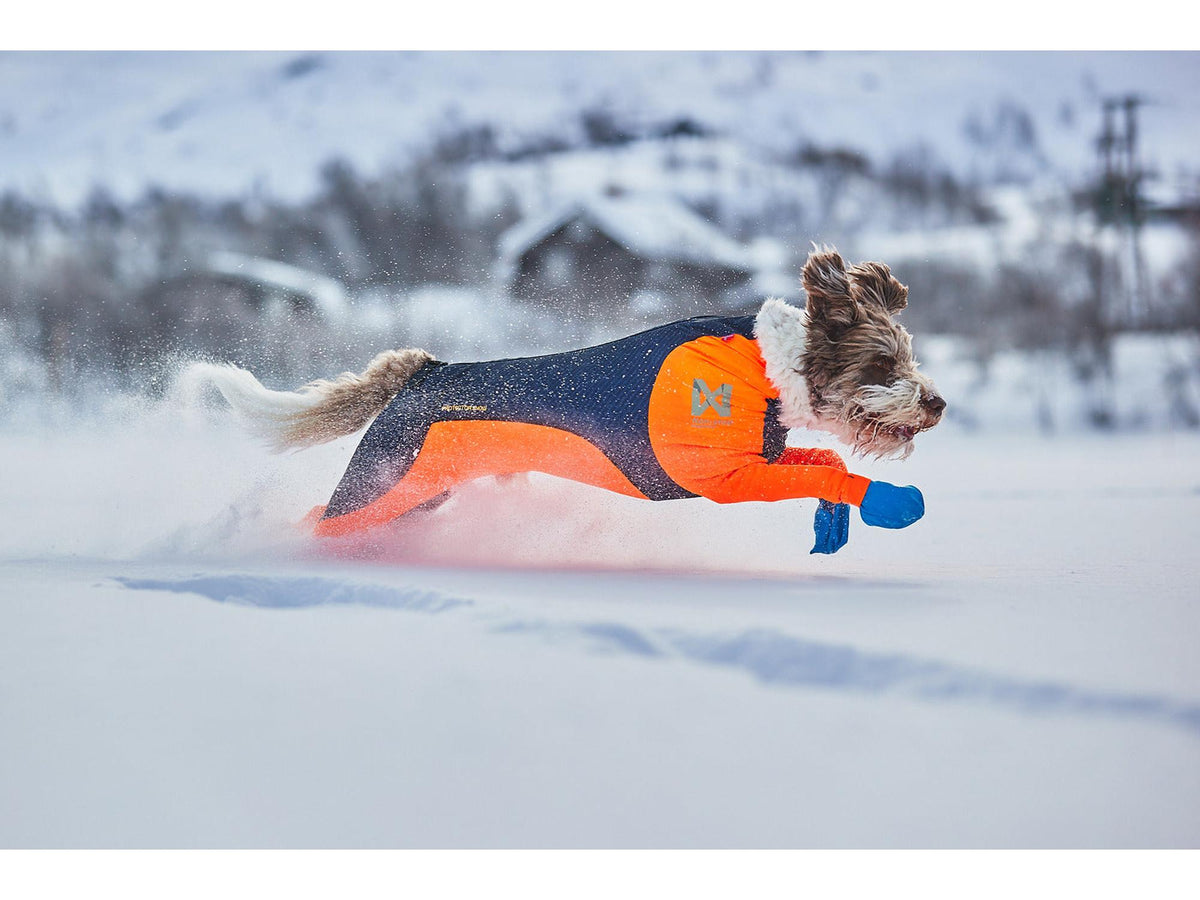 Non-stop dogwear Protector snow heldress hannhund – Svart/oransje