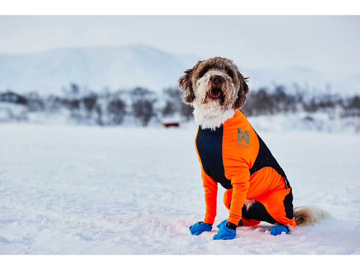 Non-stop dogwear Protector snow heldress hannhund – Svart/oransje