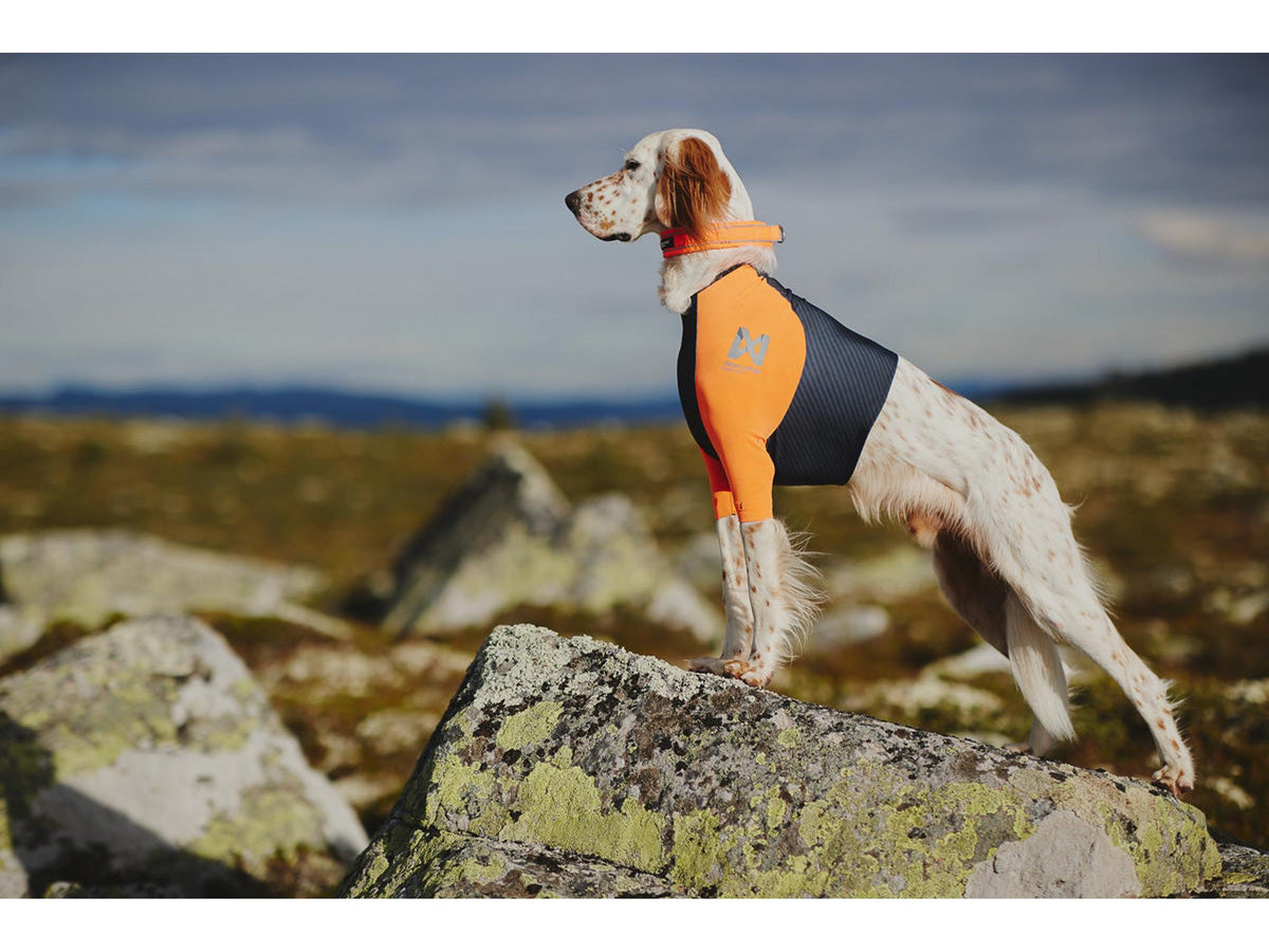 Non-stop dogwear Protector t-shirt hundetrøye – Svart/oransje