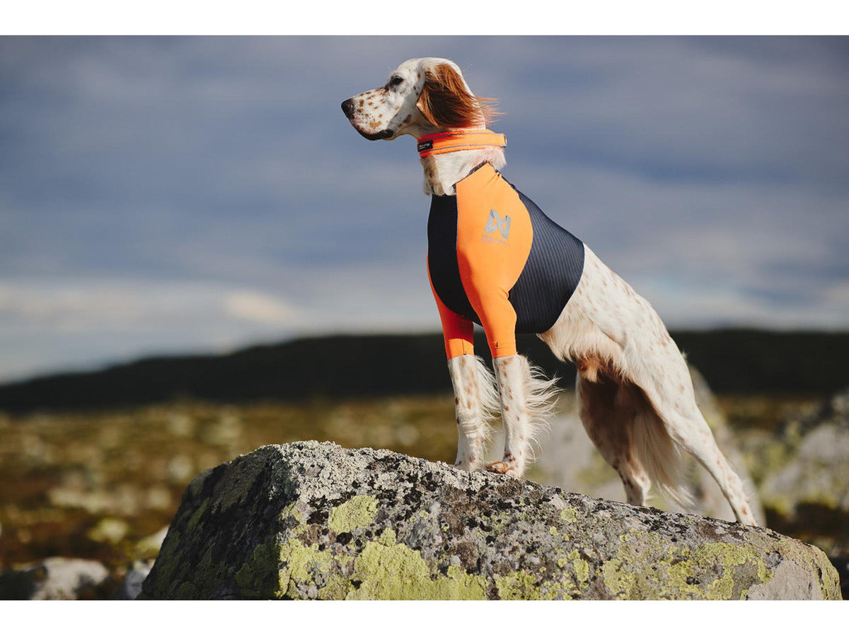 Non-stop dogwear Protector t-shirt hundetrøye – Svart/oransje