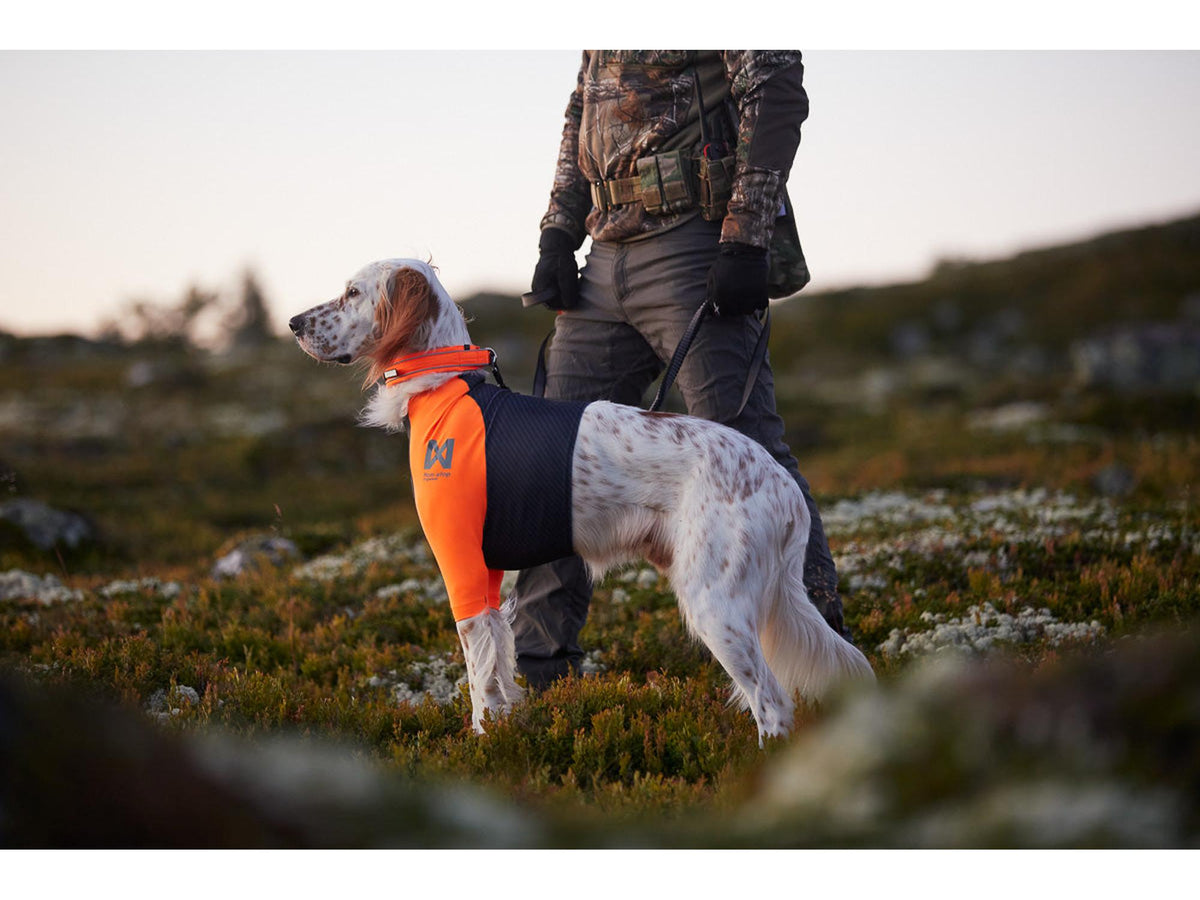 Non-stop dogwear Protector t-shirt hundetrøye – Svart/oransje