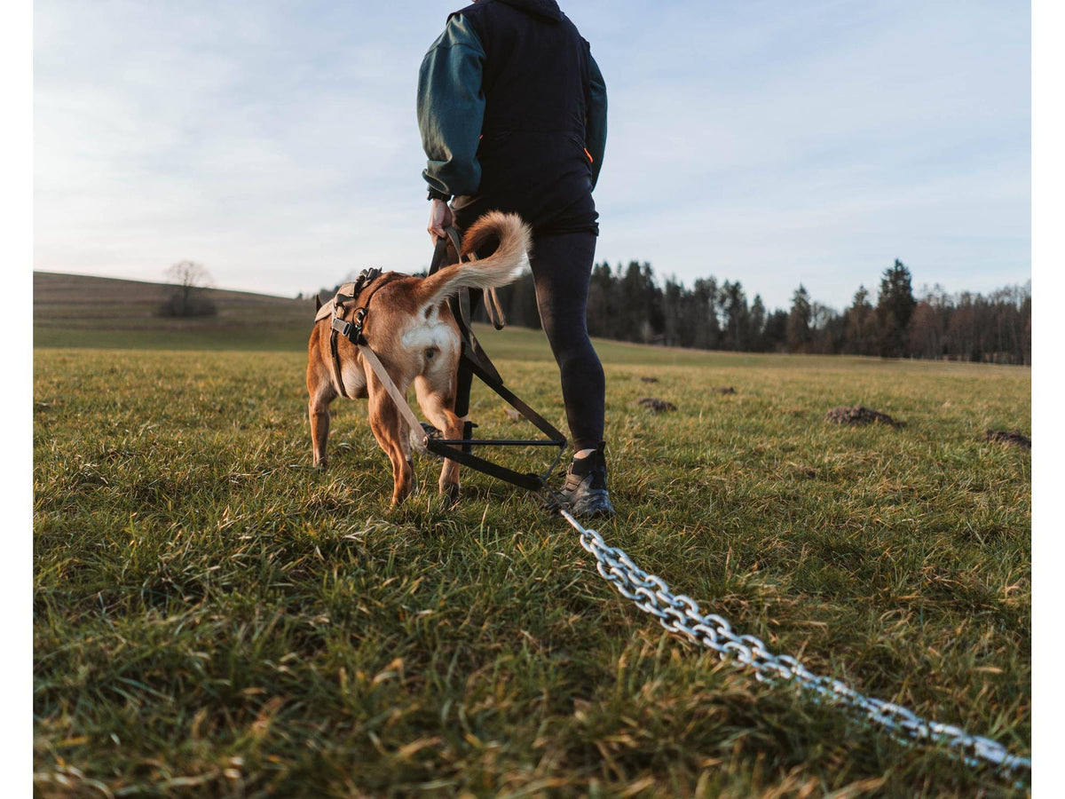 Non-stop dogwear Pulling attachment WD trekktilbehør – Svart