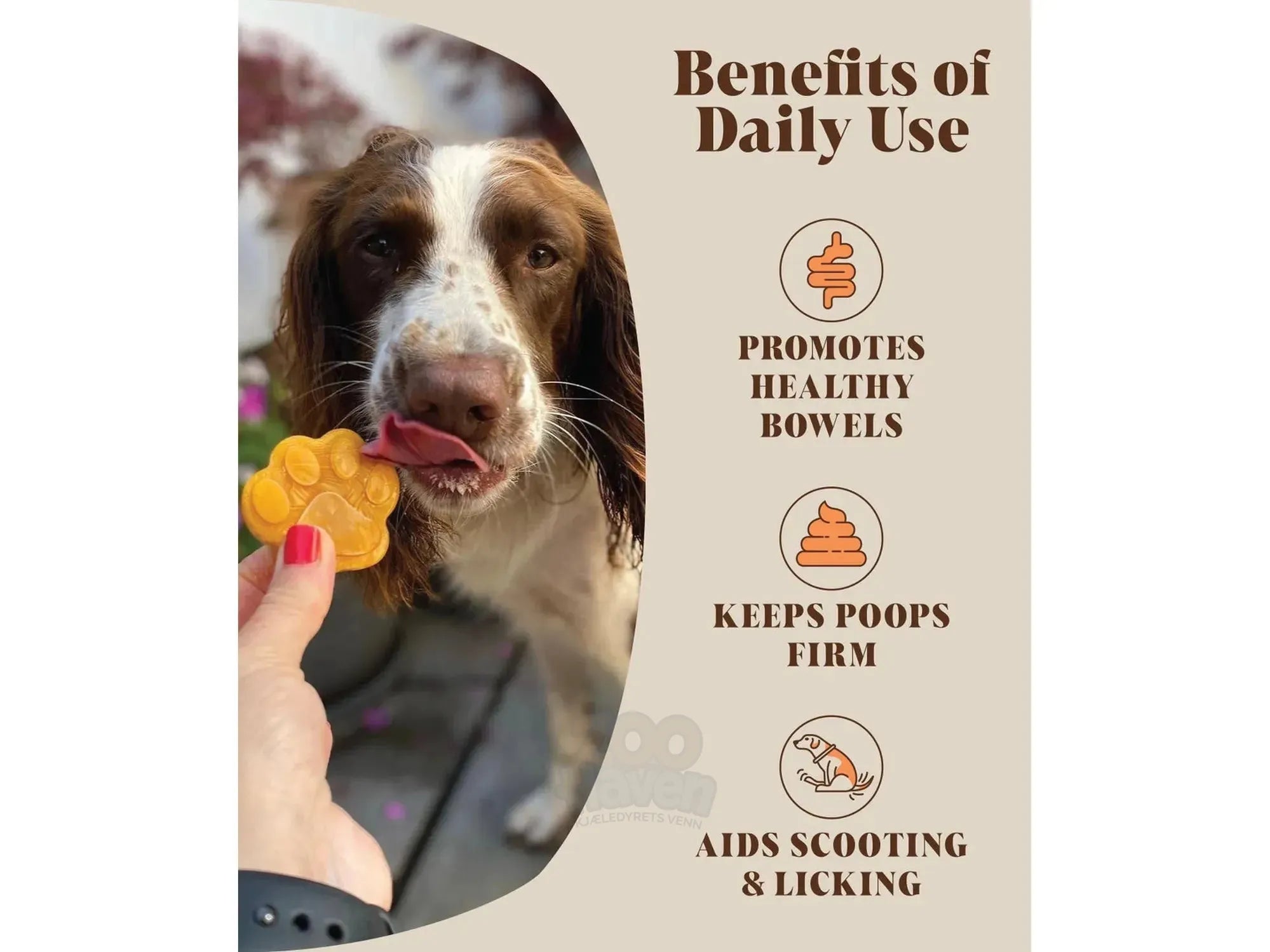 Pumpkin Powder For Dogs – Hackney Dog House 100% Naturlig Gresskarpulver 225g