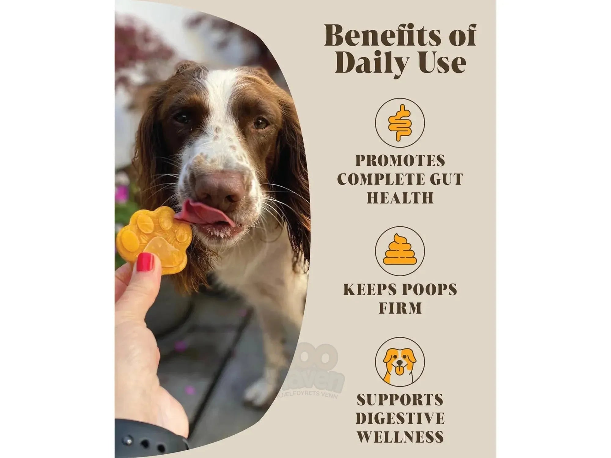 Pumpkin & Probiotics – Hackney Dog House 225g