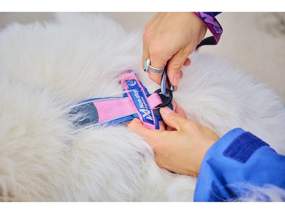 Non-stop dogwear Line harness 5.0 RP signature edition – Lilla/rosa