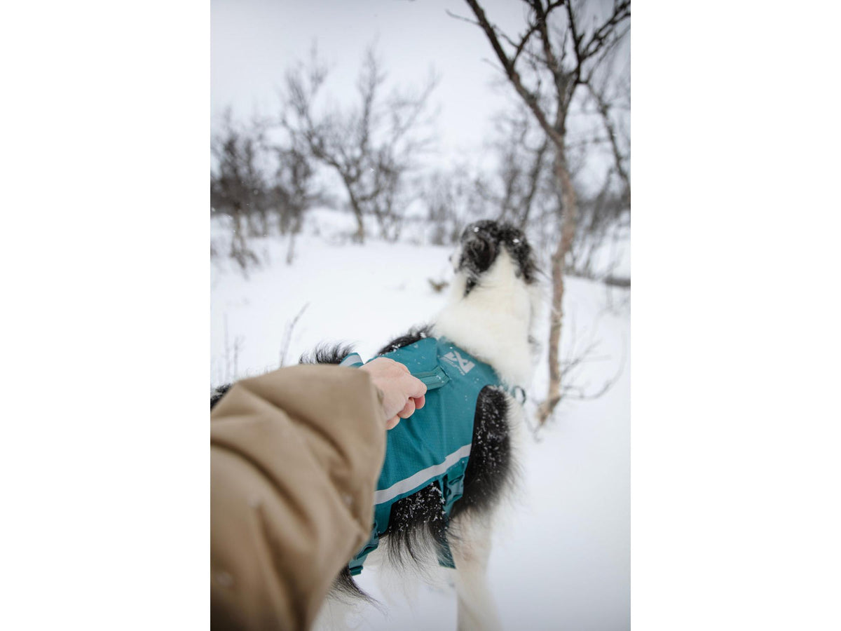 Non-stop dogwear Ramble harness long tursele – Teal