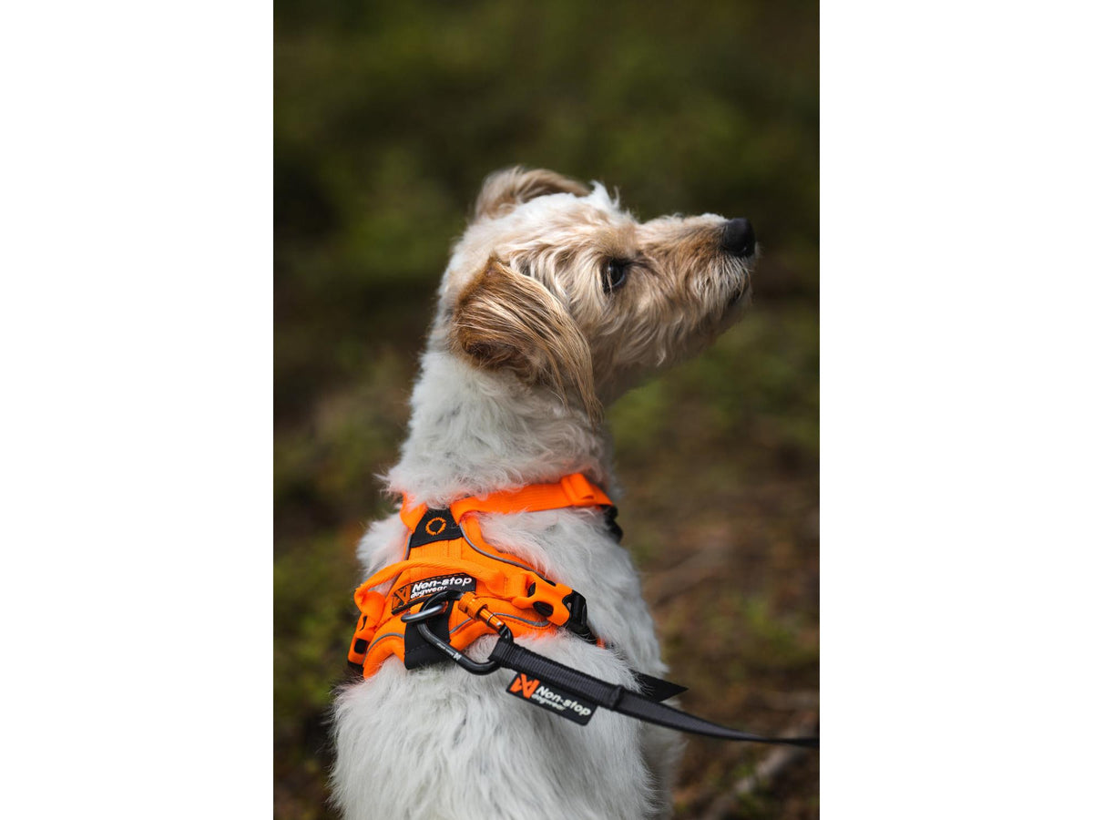 Non-stop dogwear Ramble harness tursele – Svart/oransje