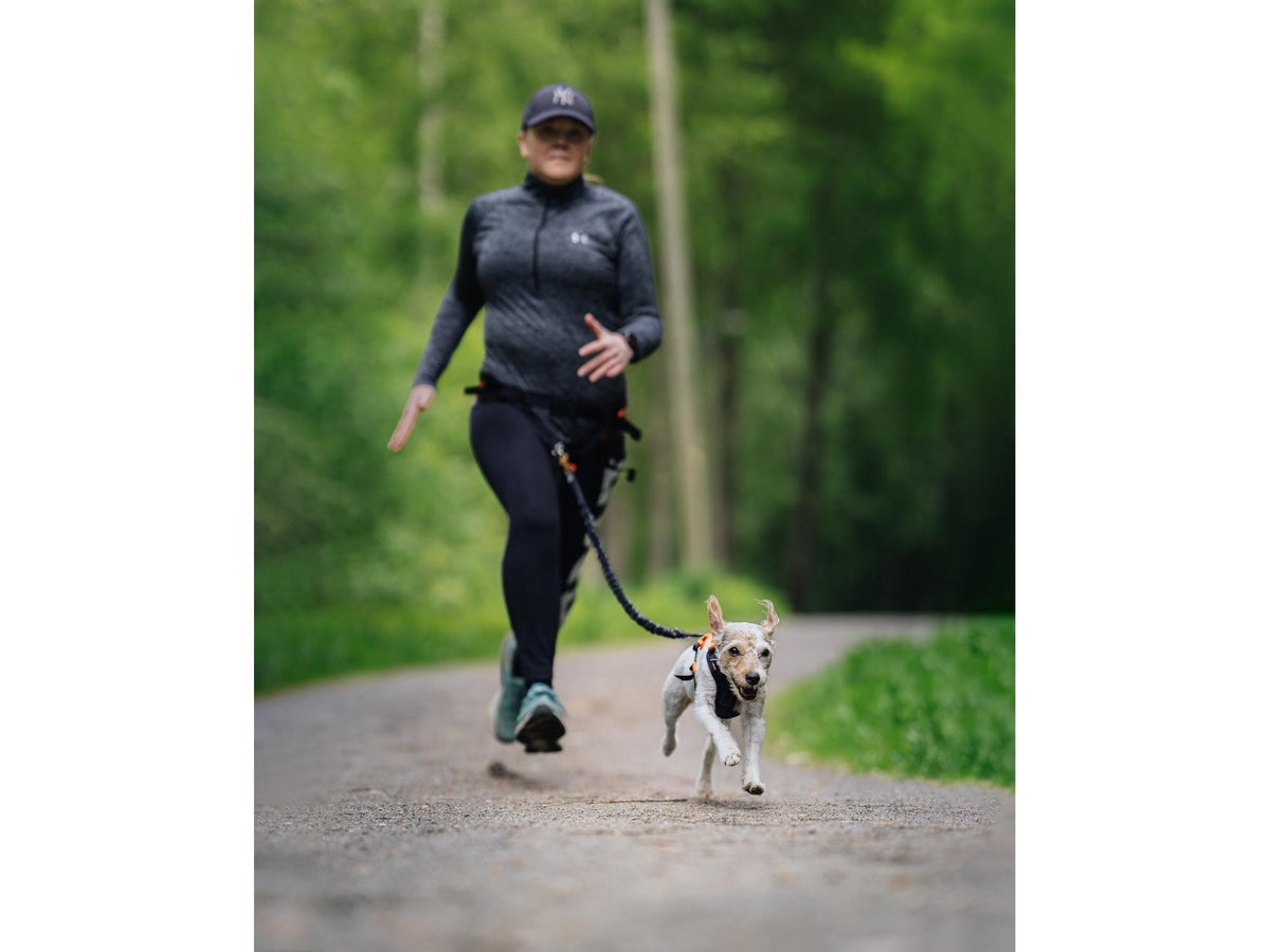 Non-stop dogwear Ramble harness tursele – Svart/oransje
