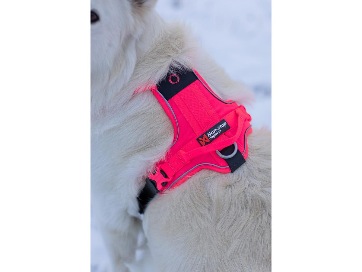 Non-stop dogwear Ramble harness tursele – Lilla – modellen vist i annen farge
