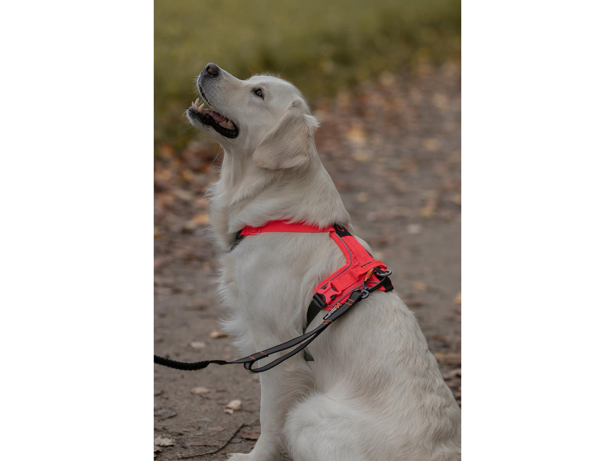 Non-stop dogwear Ramble harness tursele – Svart/rosa