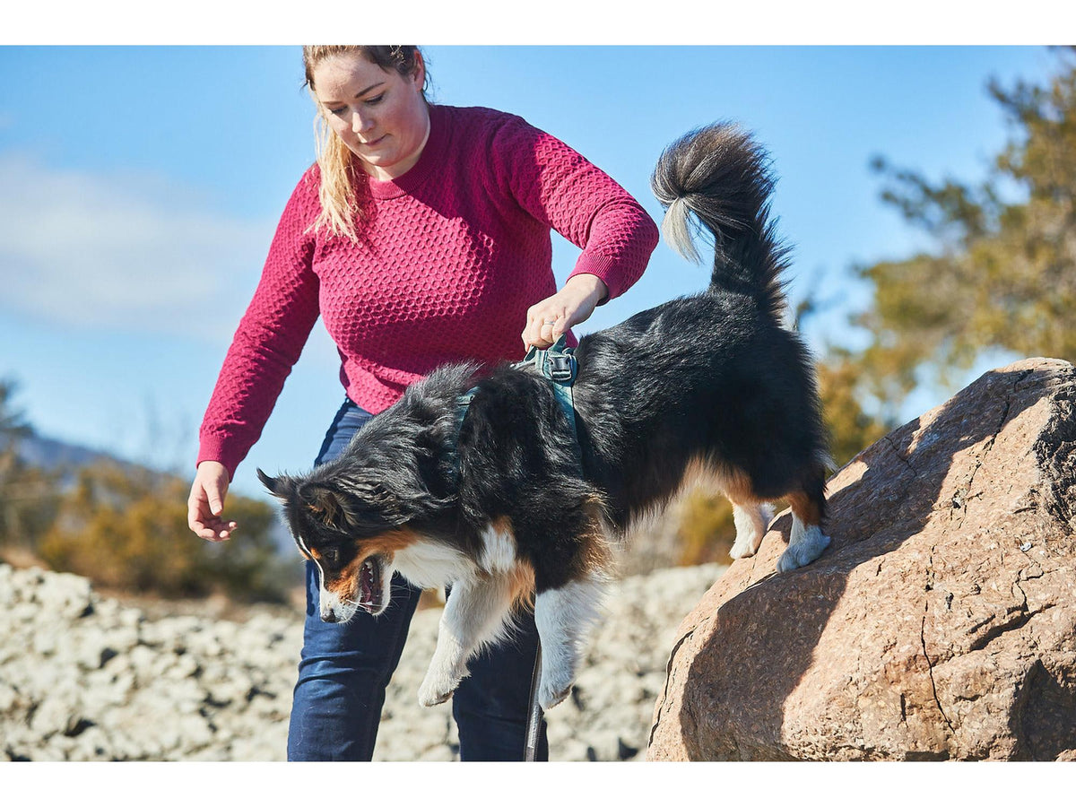 Non-stop dogwear Ramble harness tursele – Grønn