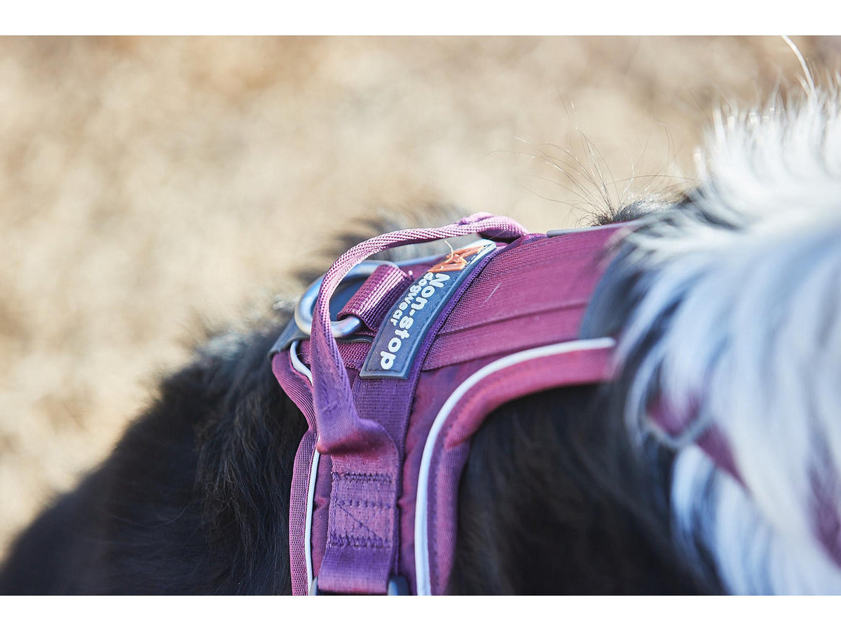 Non-stop dogwear Ramble harness tursele – Svart/rosa – modellen vist i annen farge