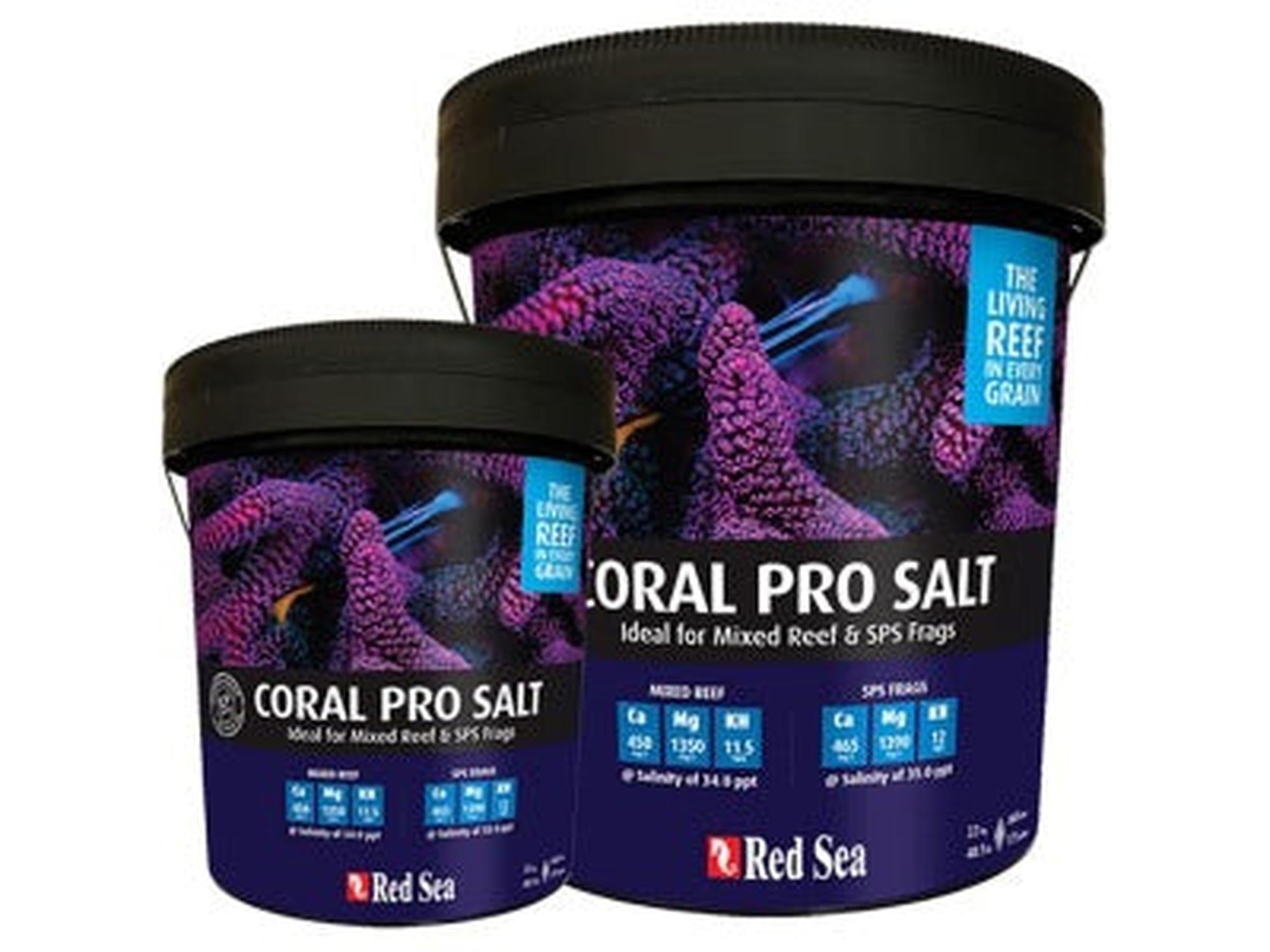 Two Red Sea Coral Pro Salt buckets, one large and one small, with purple coral reef graphics.