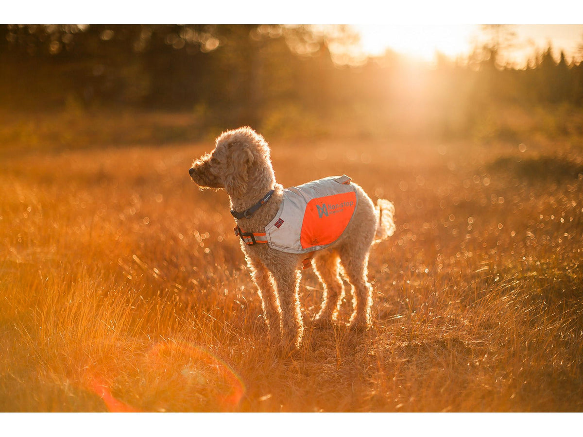 Non-stop dogwear Reflection blanket refleksdekken – Oransje
