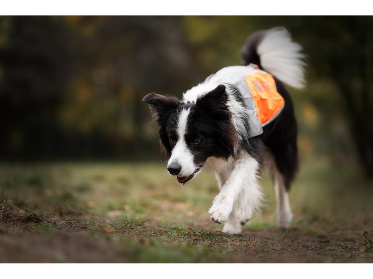 Non-stop dogwear Reflection blanket refleksdekken – Oransje